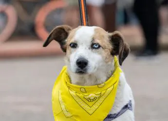 20231021-dicimouyit1203