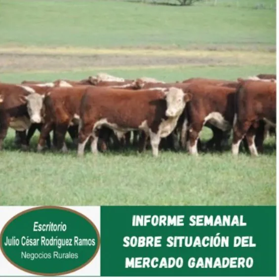 Screenshot_20260108_124755