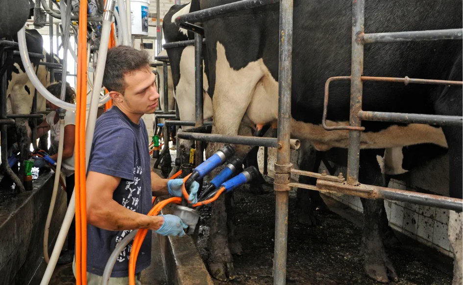 Portadas Gubuy (13)_2