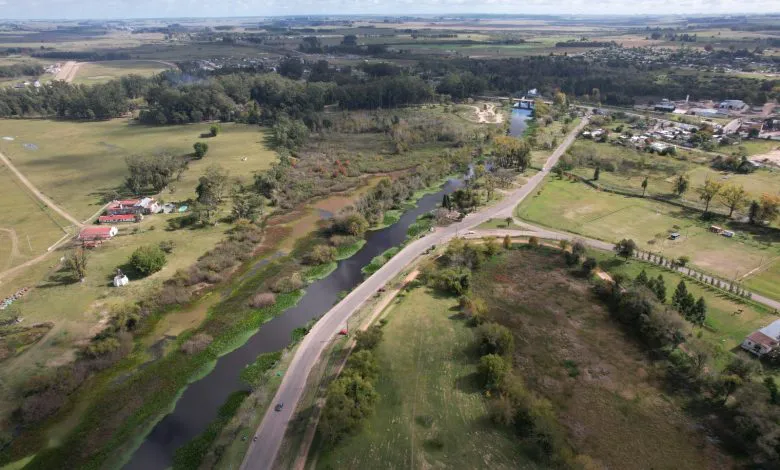 Imagen-de-WhatsApp-2023-11-25-a-las-20.42.52_23b71ce3-780x470-1