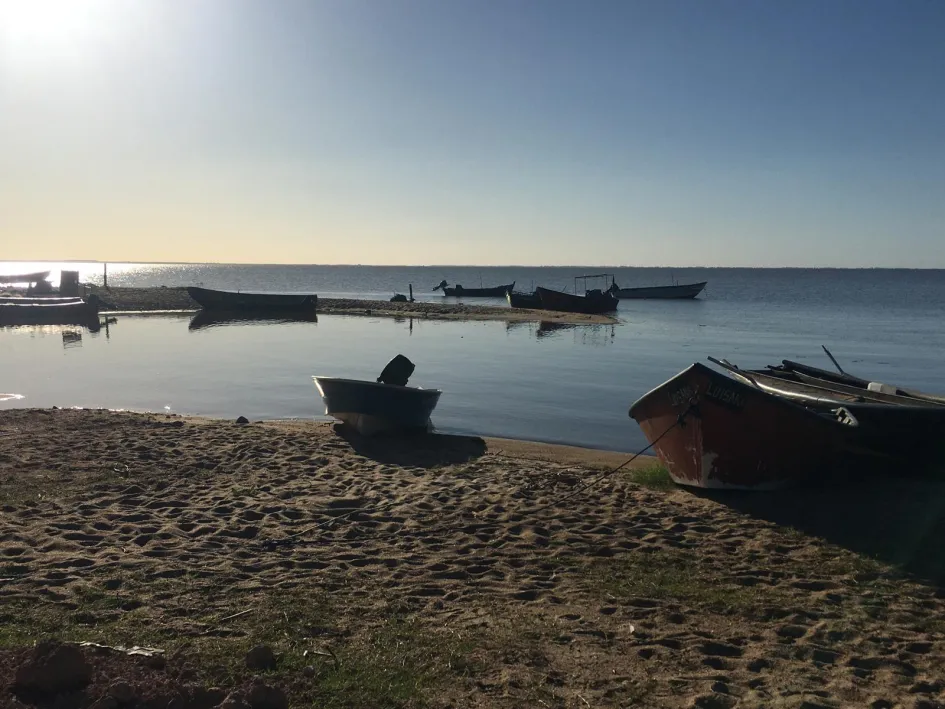 WhatsApp Image 2025-09-26 at 10.48.37