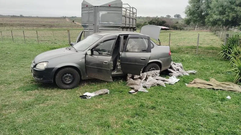 f9253e6a-2494-4dac-9568-d95550d61a56jpg