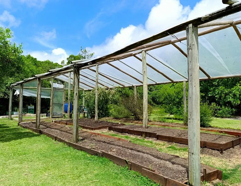 web-ecfa-biodiversidadjpg