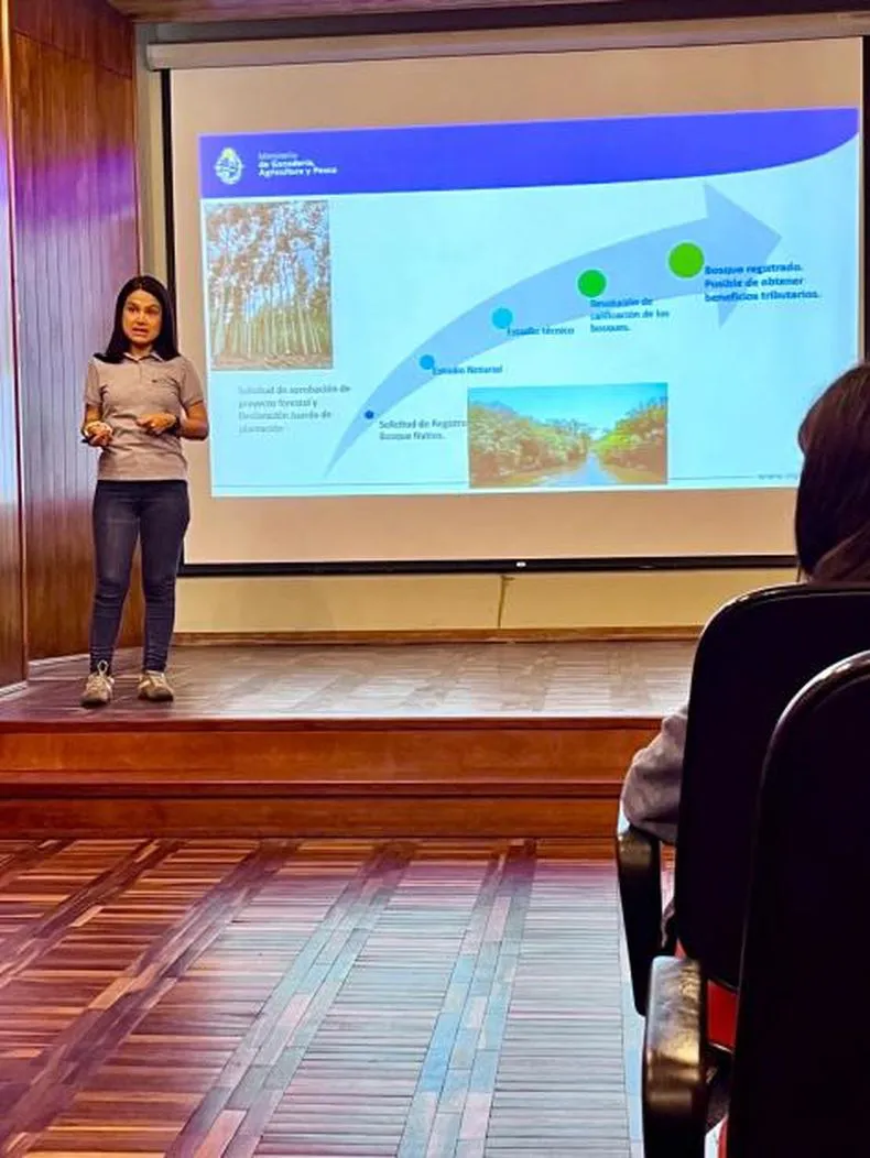 whatsapp-image-2024-12-04-at-090616-2jpeg