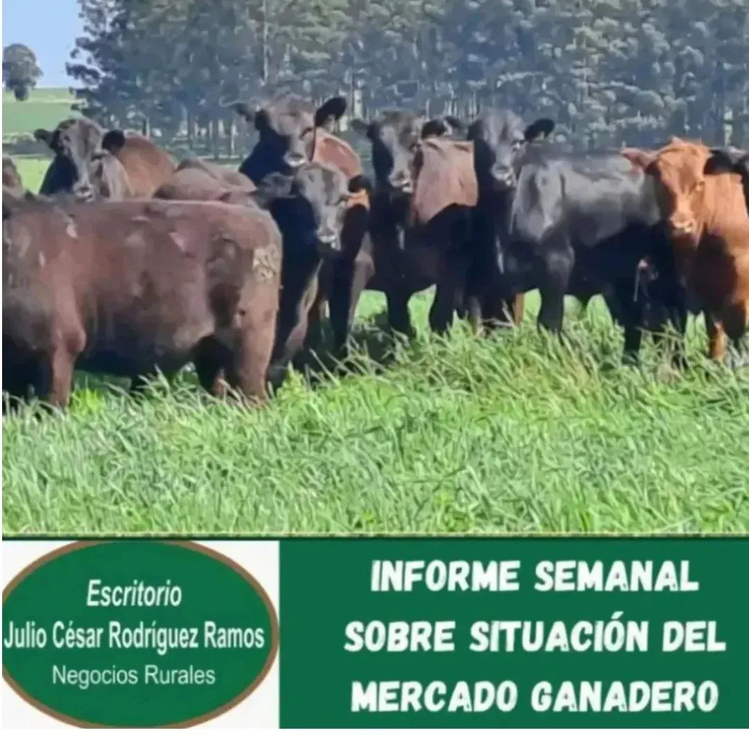 Screenshot_20251002_103952