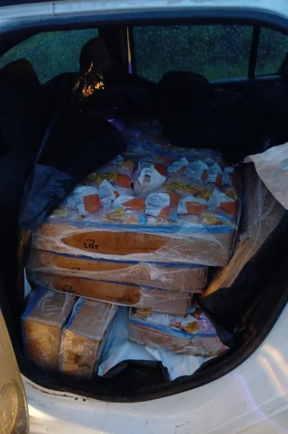 Cajas con pollo en banco trasero de automóvil