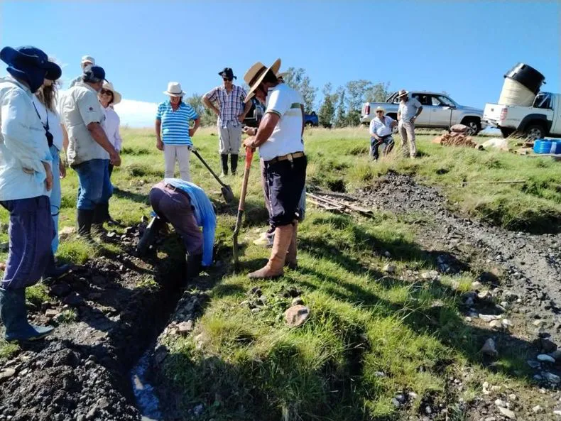 whatsapp-image-2025-03-11-at-112621-amjpeg