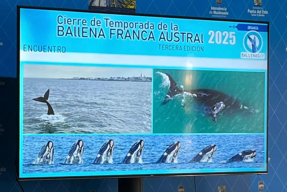 WhatsApp Image 2025-10-19 at 10.26.11