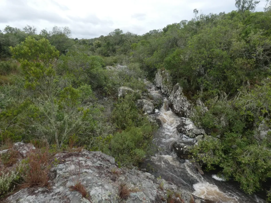 WhatsApp Image 2025-11-03 at 12.01.37 PM (10)