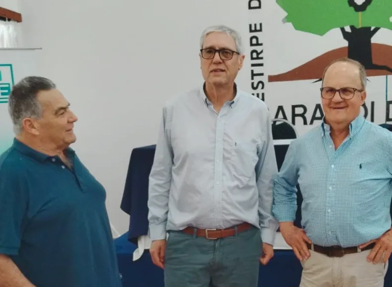 idd-miniaturas-noticias-web-2-49737f60webp