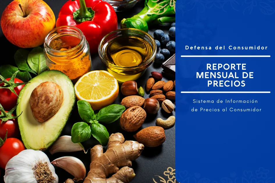 Reporte mensual_0_29_1_0
