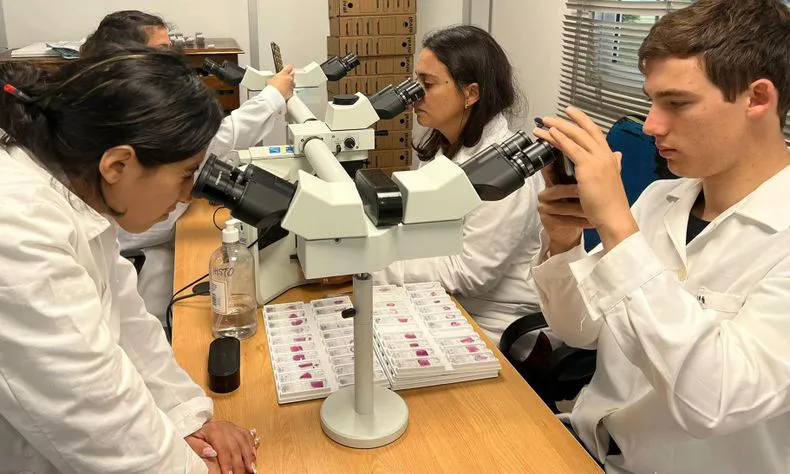 estudiantes-biotecnologia-tacuarembo-realizan-practicas-laboratorio-veterinariojpeg