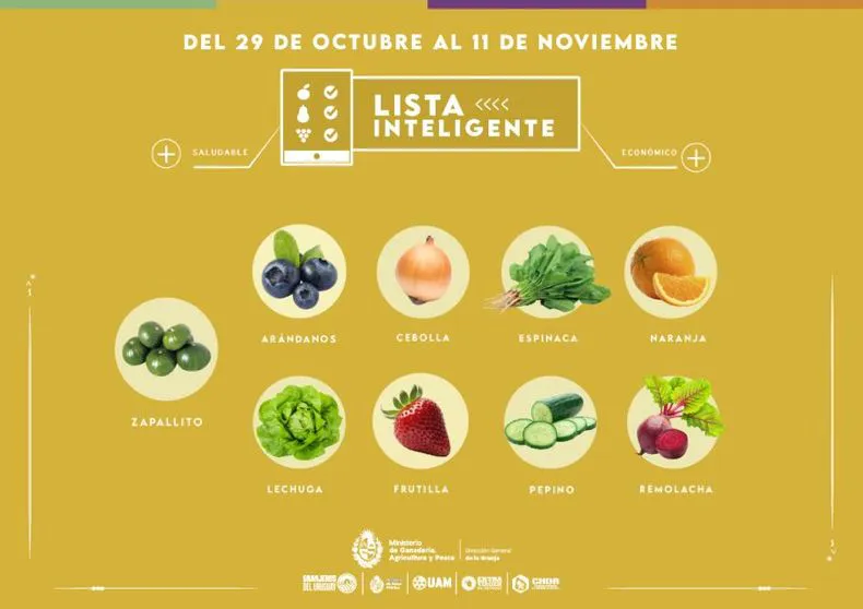 lista-inteligente1200x848-banner-100jpg