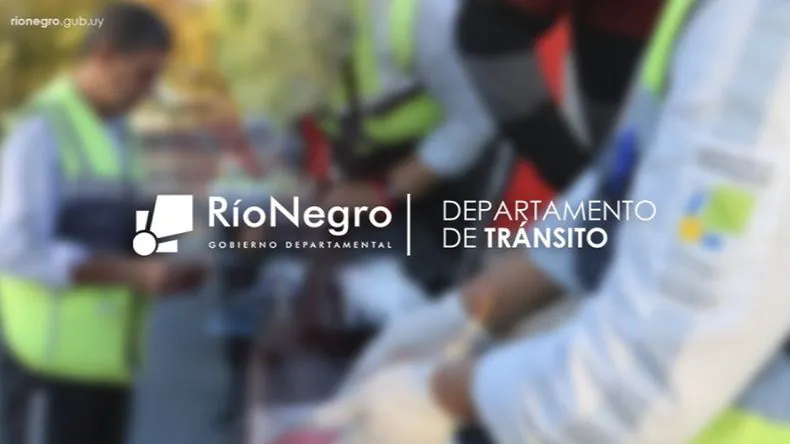 fiscalizaciones-realizadas-por-el-cuerpo-inspectivo-young-el-24-y-25-de-agosto-de-2024jpg