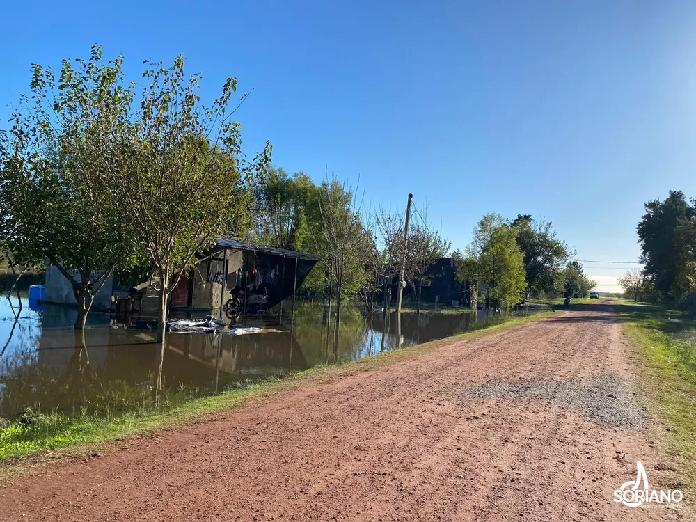 imagen_2024-05-1311_40_36