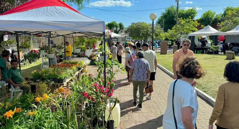 destacada_flores_1jpg