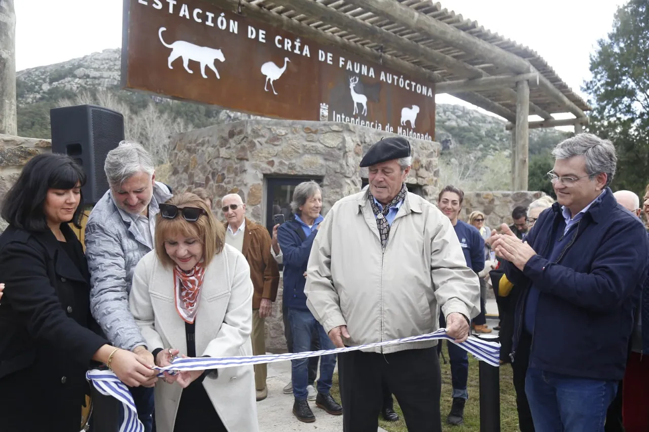 web ecfa reinauguracion (4)