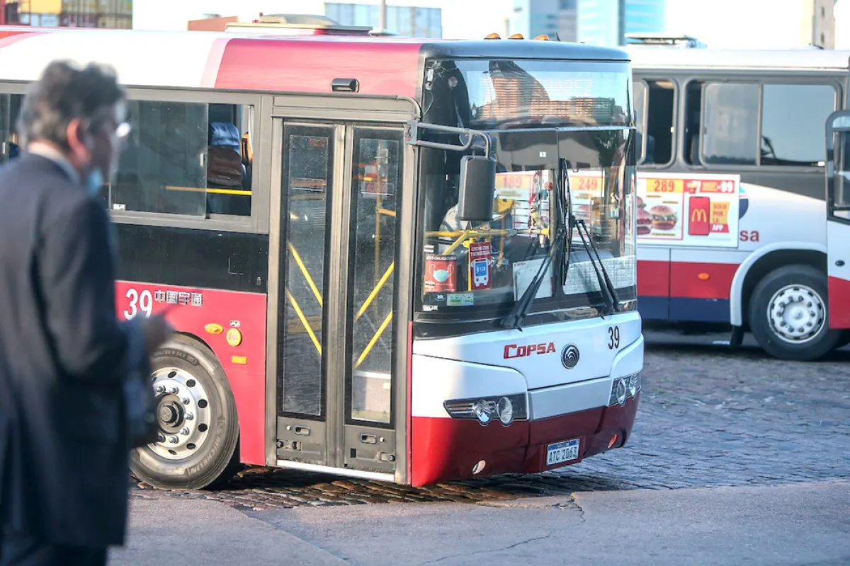 58ada78c0e4b25d10c2f730261cf47e2_XL
