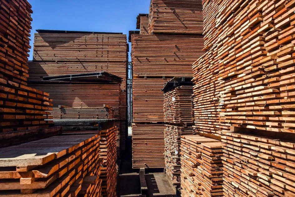 Industria de la madera Urufor DSC_6879_4