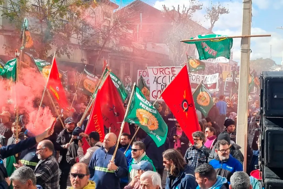 255985d2e0fe06809ba8ffd4ff36462f_XL