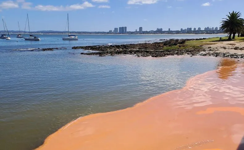 whatsapp-image-2025-04-05-at-144338-1jpeg