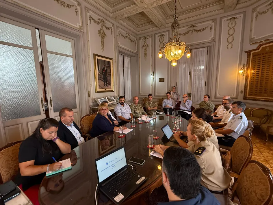 Reunión Comisión Coordinación Educación Militar-2