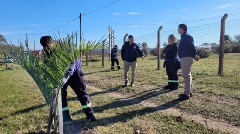 b008fd23c2b3f33f95f9cf1c70eae6da_ljpg