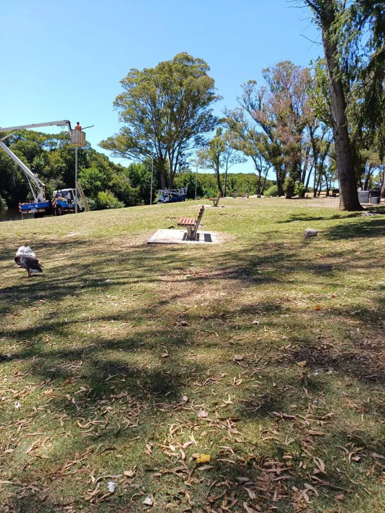 noticia_79b228d4bdfded0d97fa111780cbf2dcb4c2943bjpg