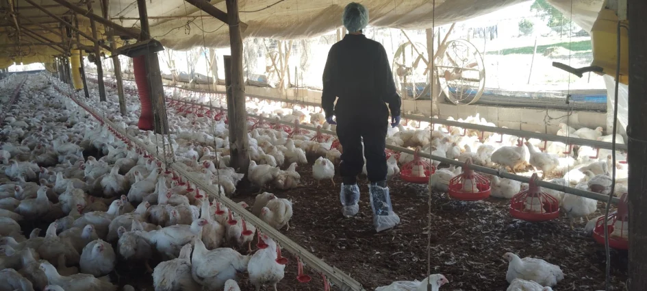 WhatsApp Image 2026-03-03 at 14.16.37