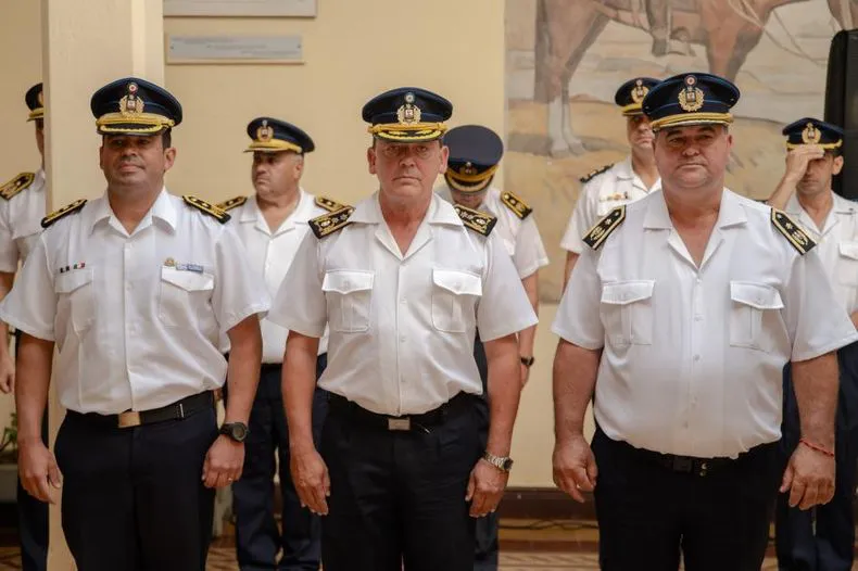 whatsapp-image-2025-03-11-at-130544jpeg