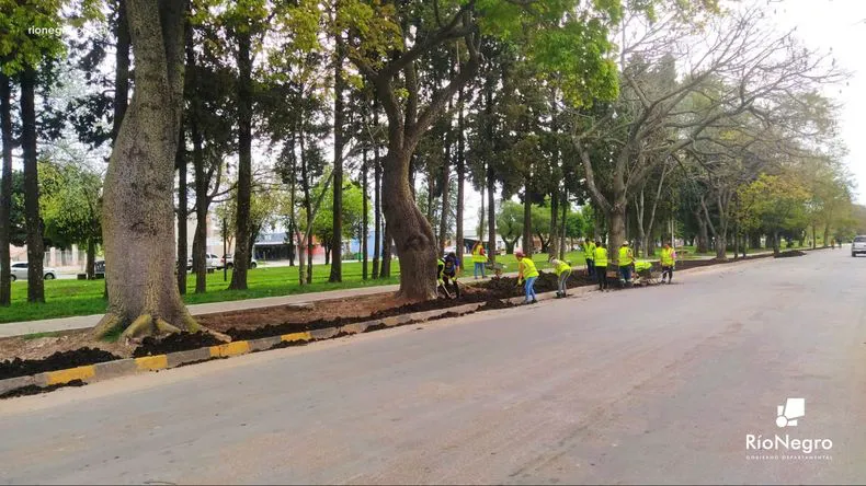 canteros-parque-lineal-02jpg