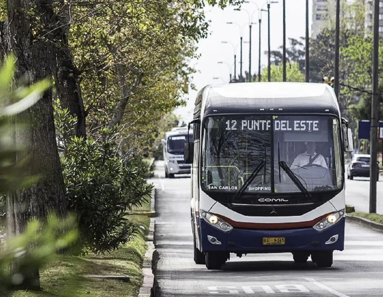 omnibus-codesa-bus-transportejpg