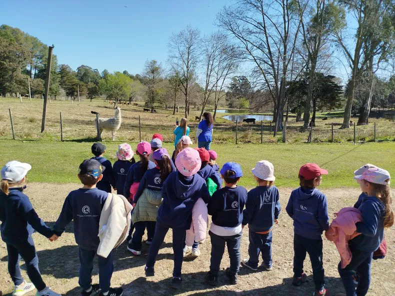 whatsapp-image-2024-08-28-at-1608381jpeg