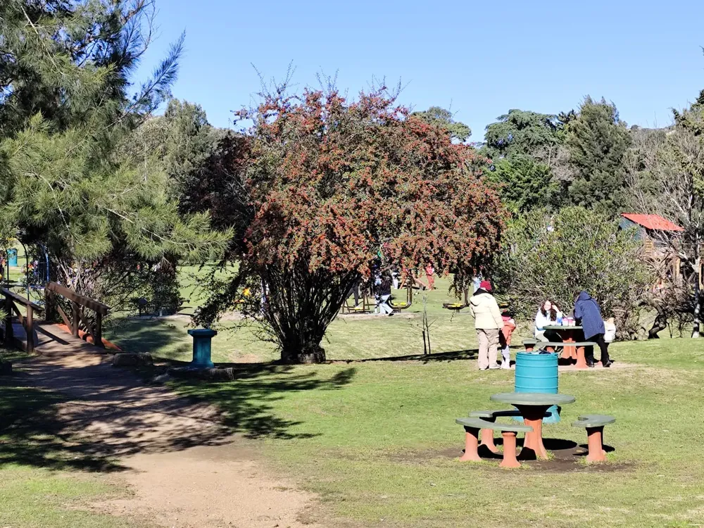 WhatsApp Image 2024-07-16 at 1.01.00 PM