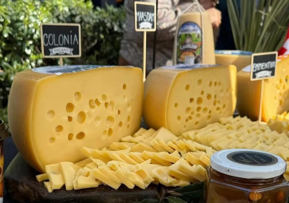 0128e215-3805-4064-933c-85602feb998f