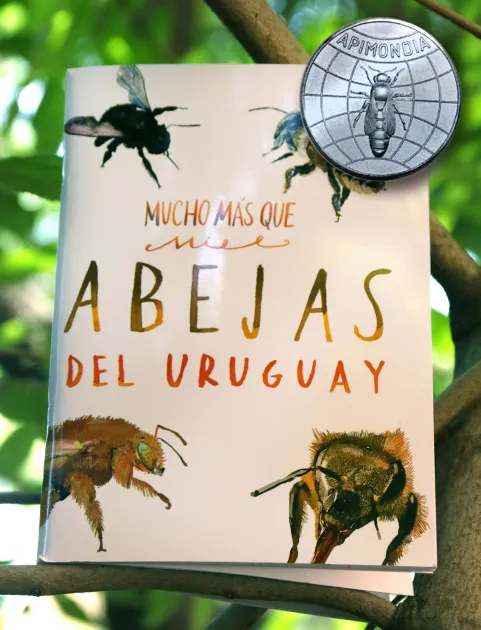 Medalla de plata libro abejas (1)