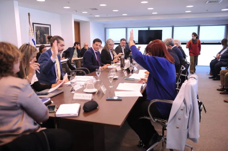 WhatsApp Image 2025-04-28 at 12.59.08