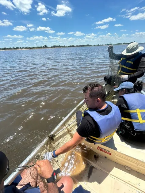 fiscalizaciòn dinara