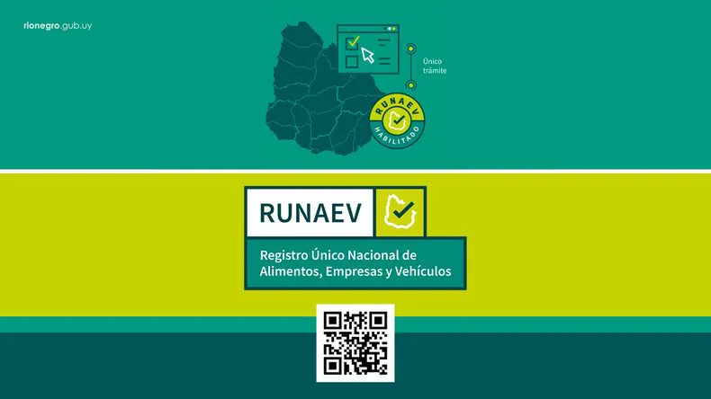 runaev-webjpg