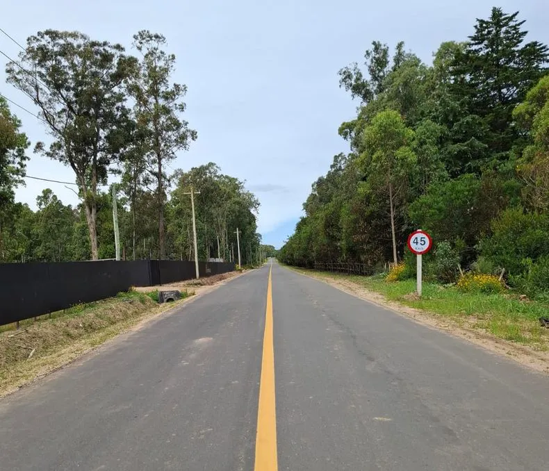 obra-camino-jpg
