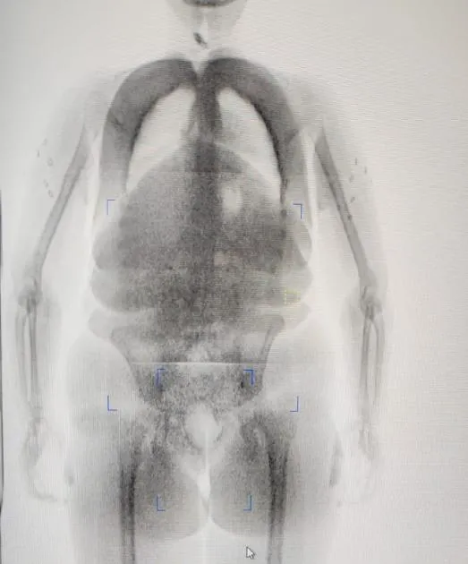 WhatsApp Image 2024-07-22 at 1.02.32 PM