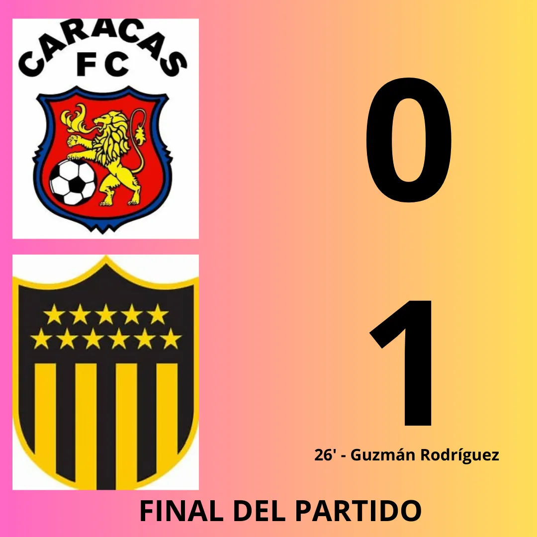 Agregar un subtítulo