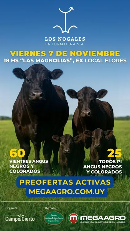 fbe0e3981d944c89a21ce35dc7f5a24b