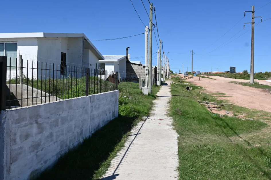 rapiña_0