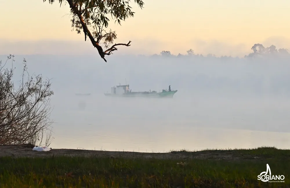 imagen_2024-07-0407_45_51