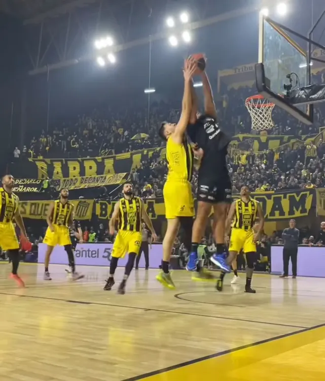 Imagen de WhatsApp 2024-06-03 a las 08.44.16_bdef2c21