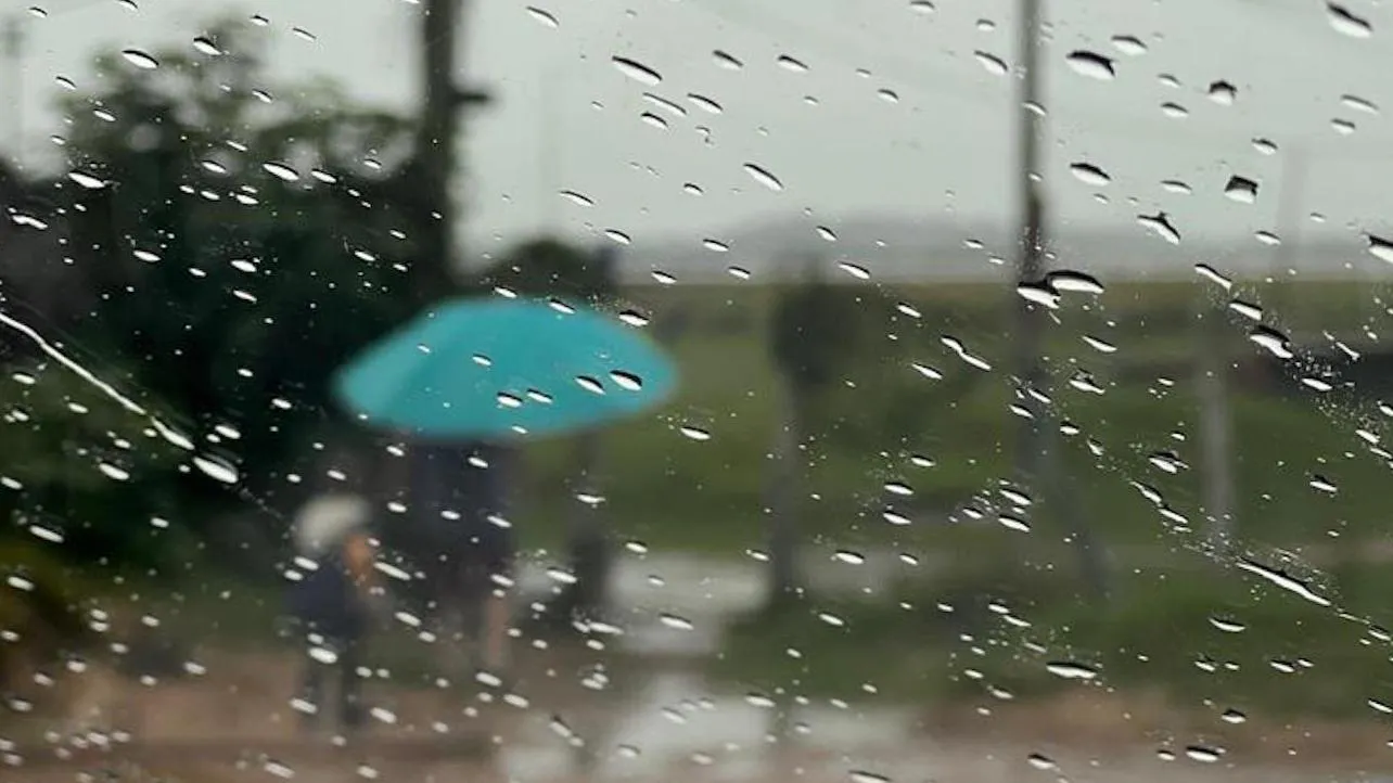 WhatsApp Image 2023-08-22 at 09.53.27