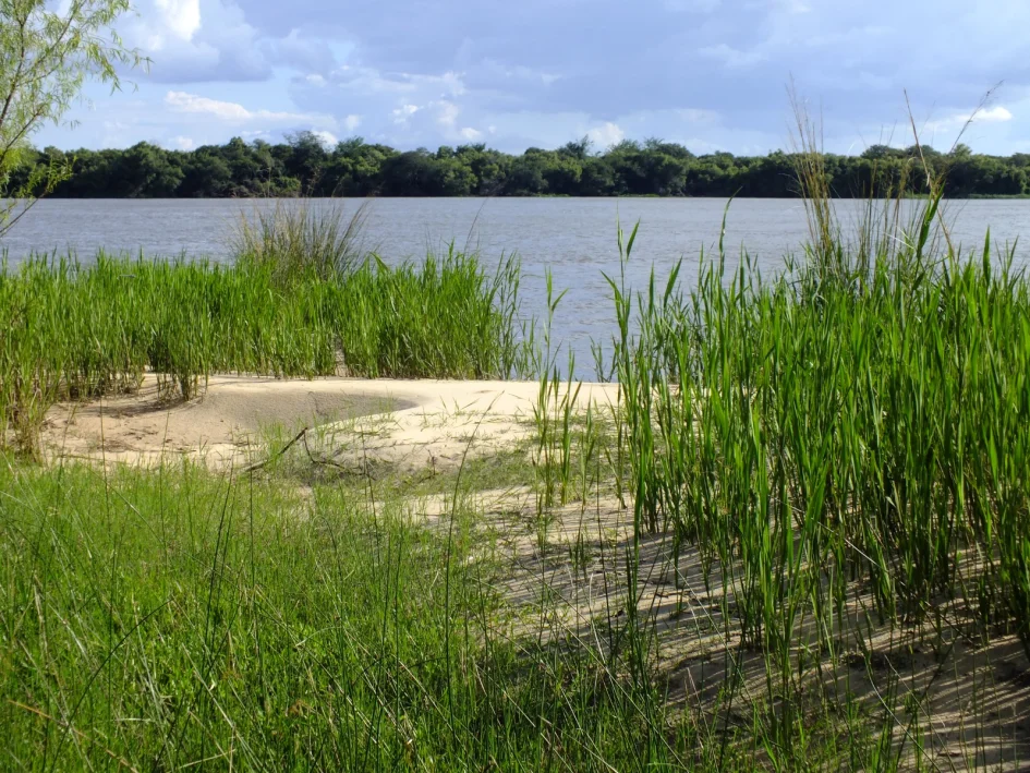 WhatsApp Image 2026-03-27 at 11.56.07 AM