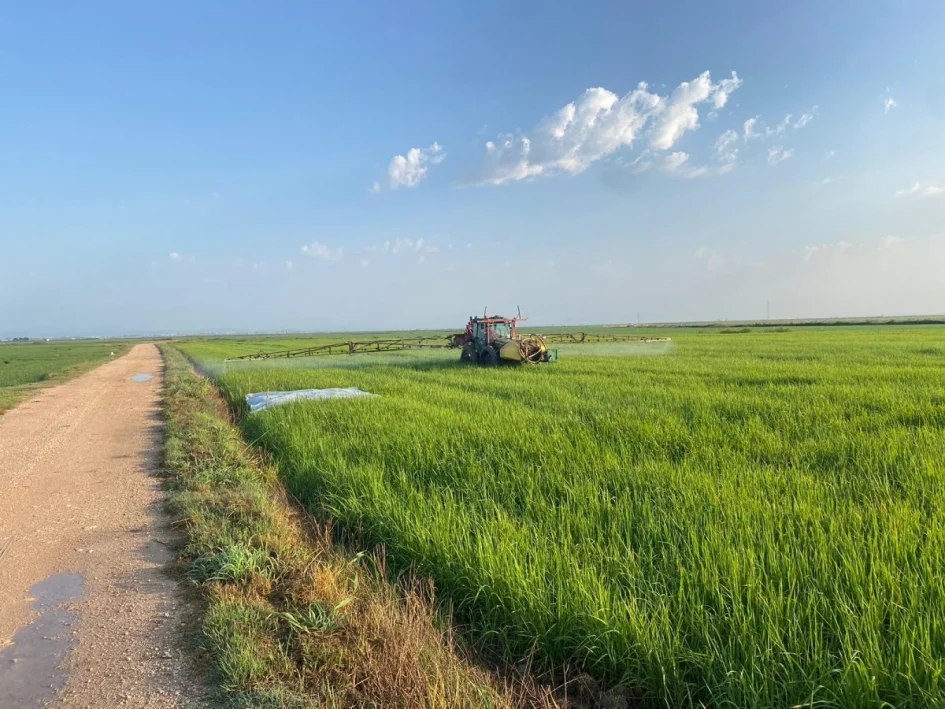 aplicaciones en arroz