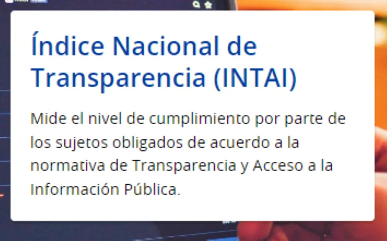 intai_foto-portada_0png